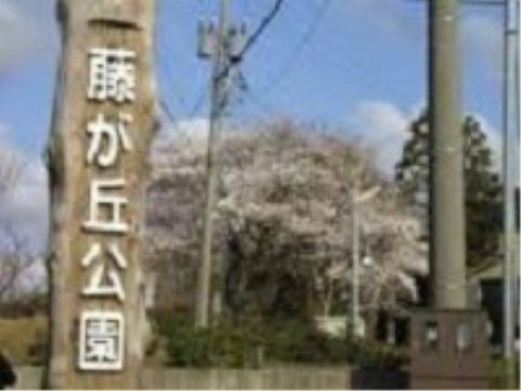 大きな公園が徒歩圏内にあり、良い散歩コースになっている。地域住民との交流の場になり、地域に根差した生活を送ることができる。