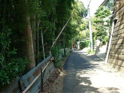 左手は竹林でトタンが立て付けられている。右手には住宅があり、高いブロック塀がある。車一台通ることができる程度の幅である。