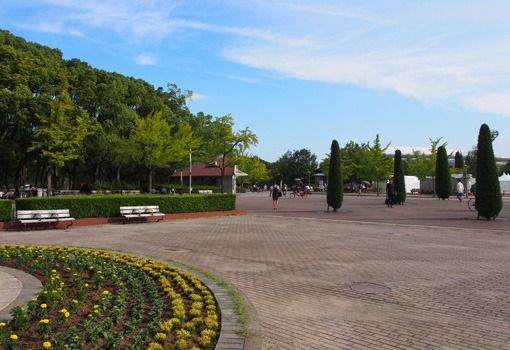 広場とベンチの風景