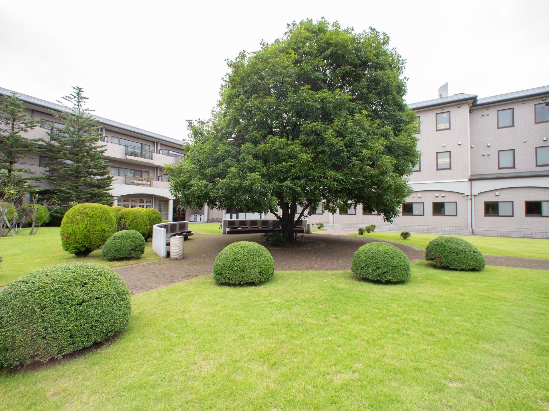 建物と建物の間の空間を中庭として活用している。中央に大きな木が植えてあり、そこから放射状に通路が伸びている。