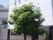 白を基調とした3階建ての建物。周辺には木も植えられている。