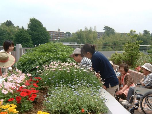 ルーフガーデン(屋上庭園)