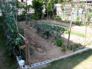 植物が植えてある中庭の様子。土が持ってある場所