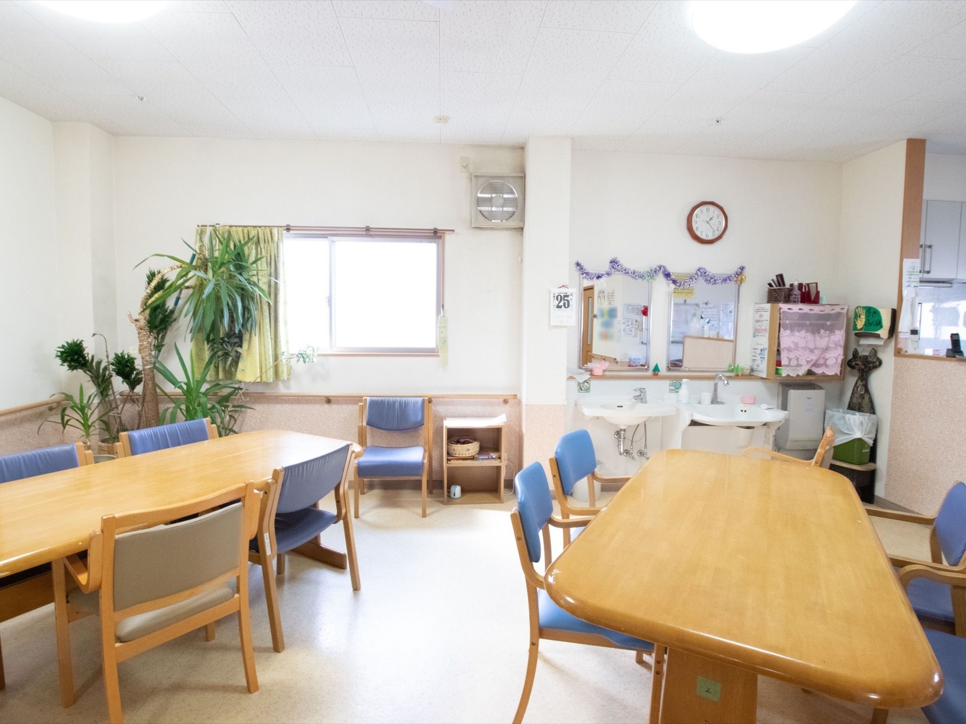 大きな鏡と洗面台が２か所、用意されている。部屋の角には観葉植物が置かれている。清掃が行き届いている。