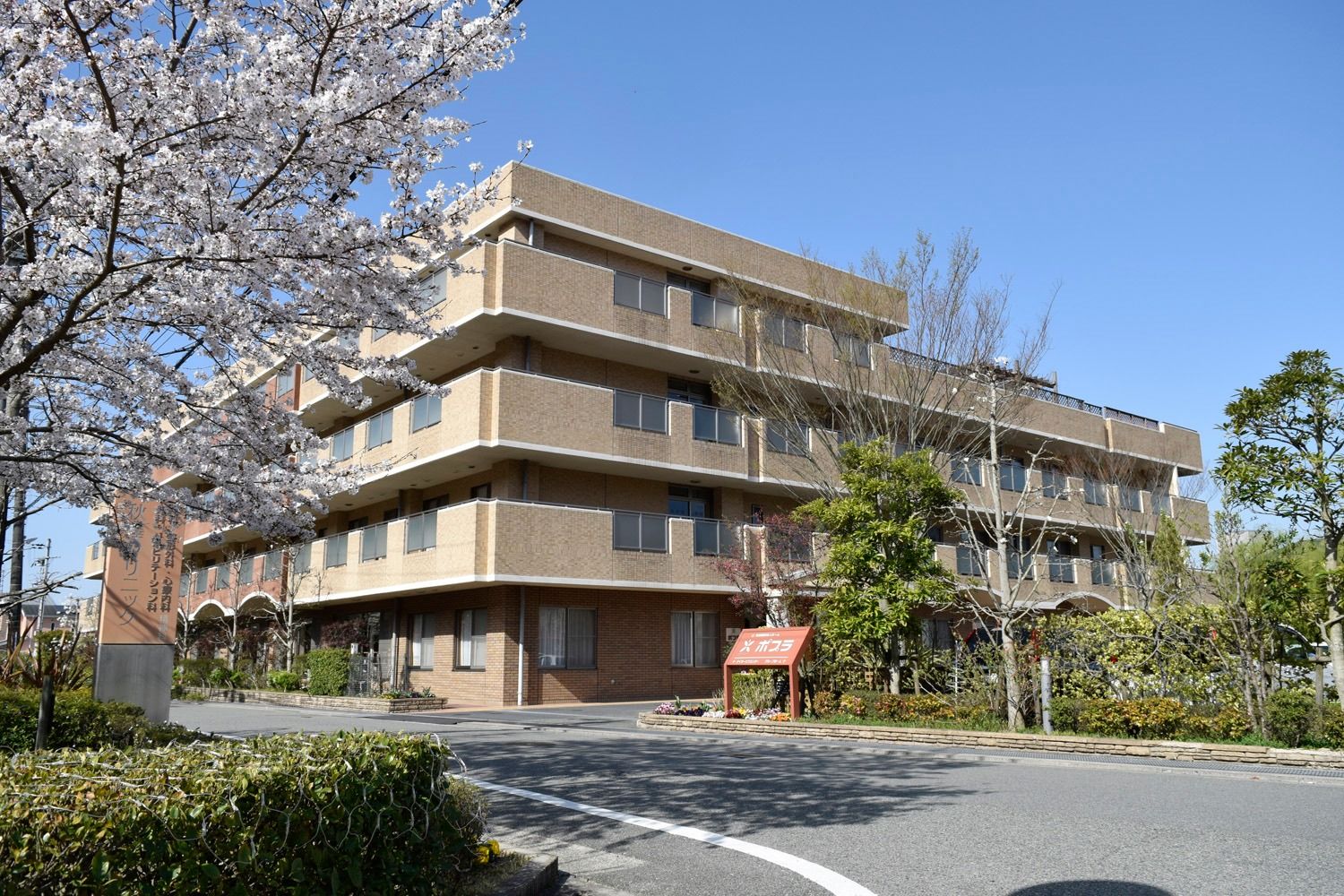 桜が咲く建物の外観