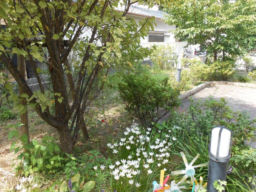 緑豊かな庭園風景