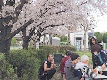 花見に出かけている高齢者と施設内のスタッフの様子。天気が良い日の１枚