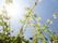 施設にも緑が多く植えられており、太陽の下で輝いている。光に反射する緑が美しく、清々しい空気を作っている。
