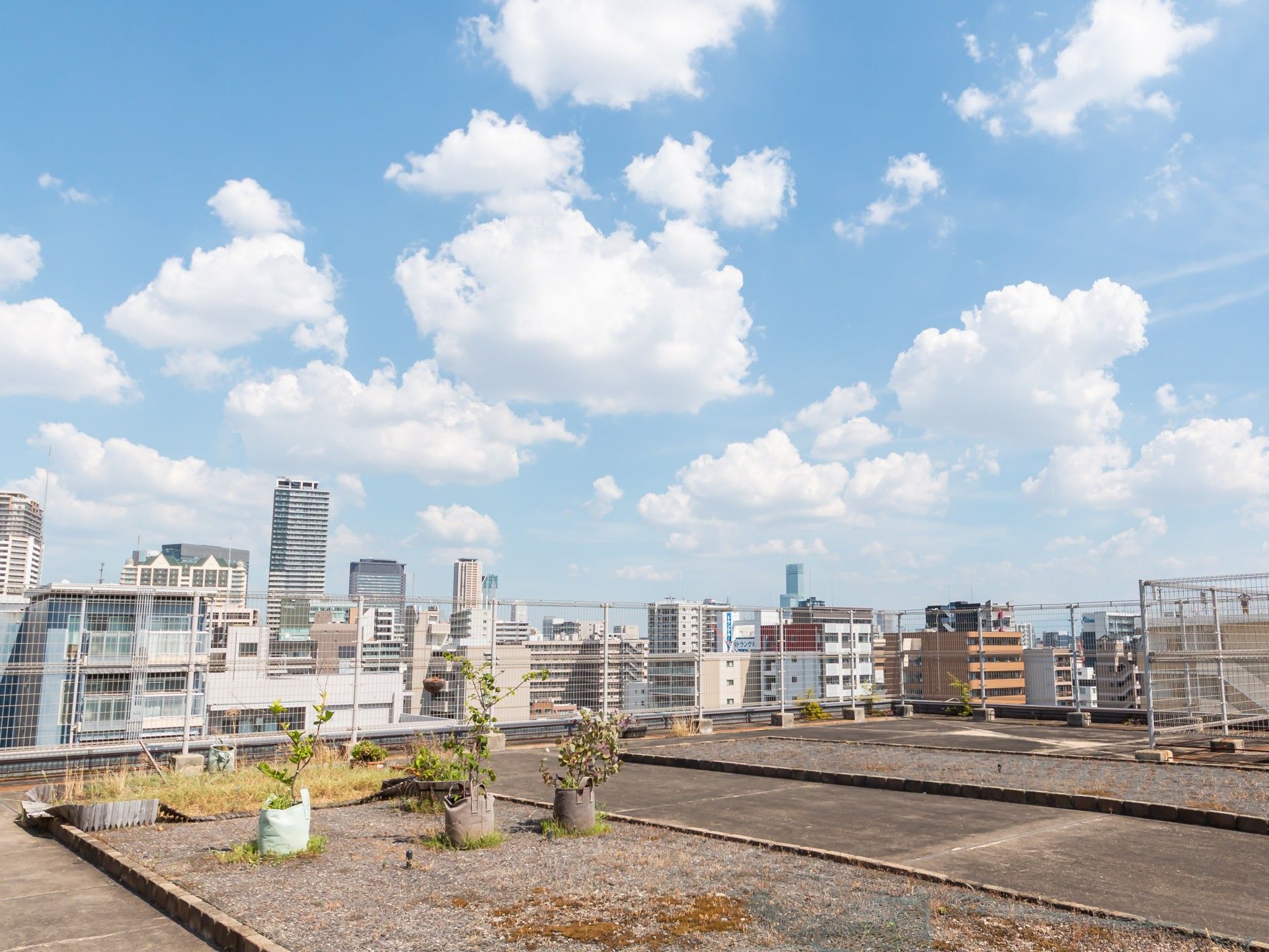 青空と街並みの屋上