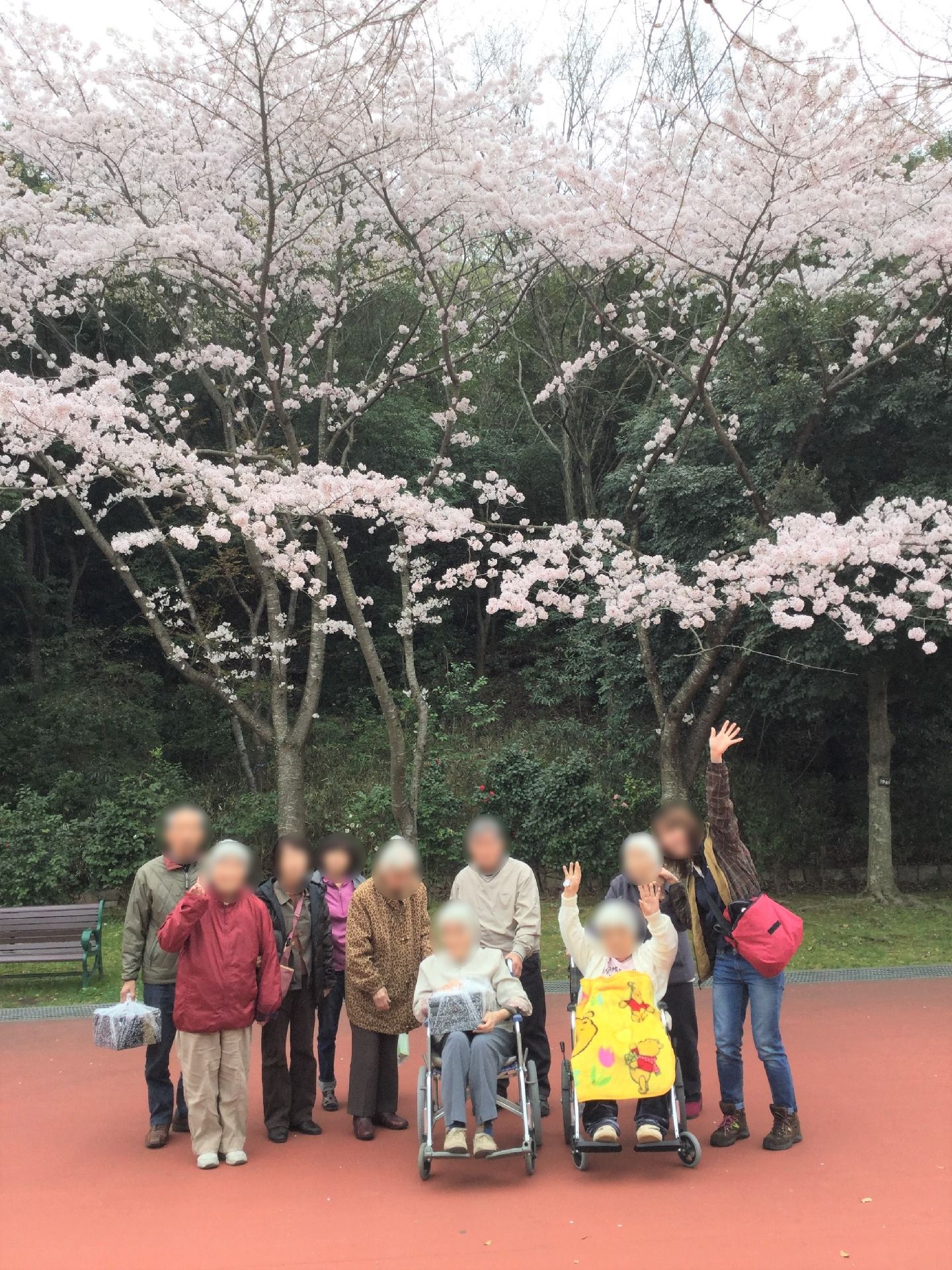 桜の木の下で取られた集合写真。車椅子の入居者、そしてスタッフが手を掲げてポーズを取っている。