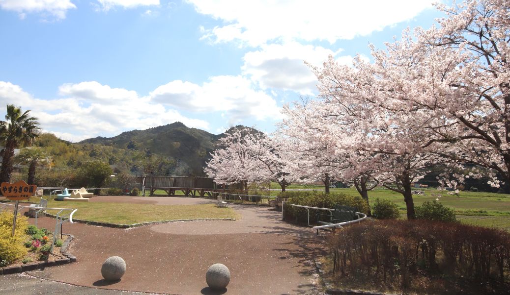 桜並木の散策路