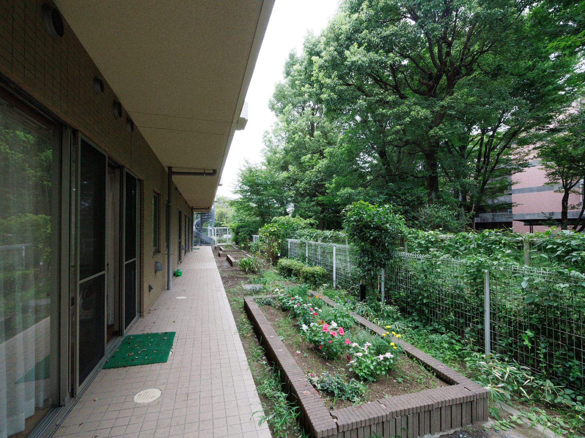 お花を植えた庭