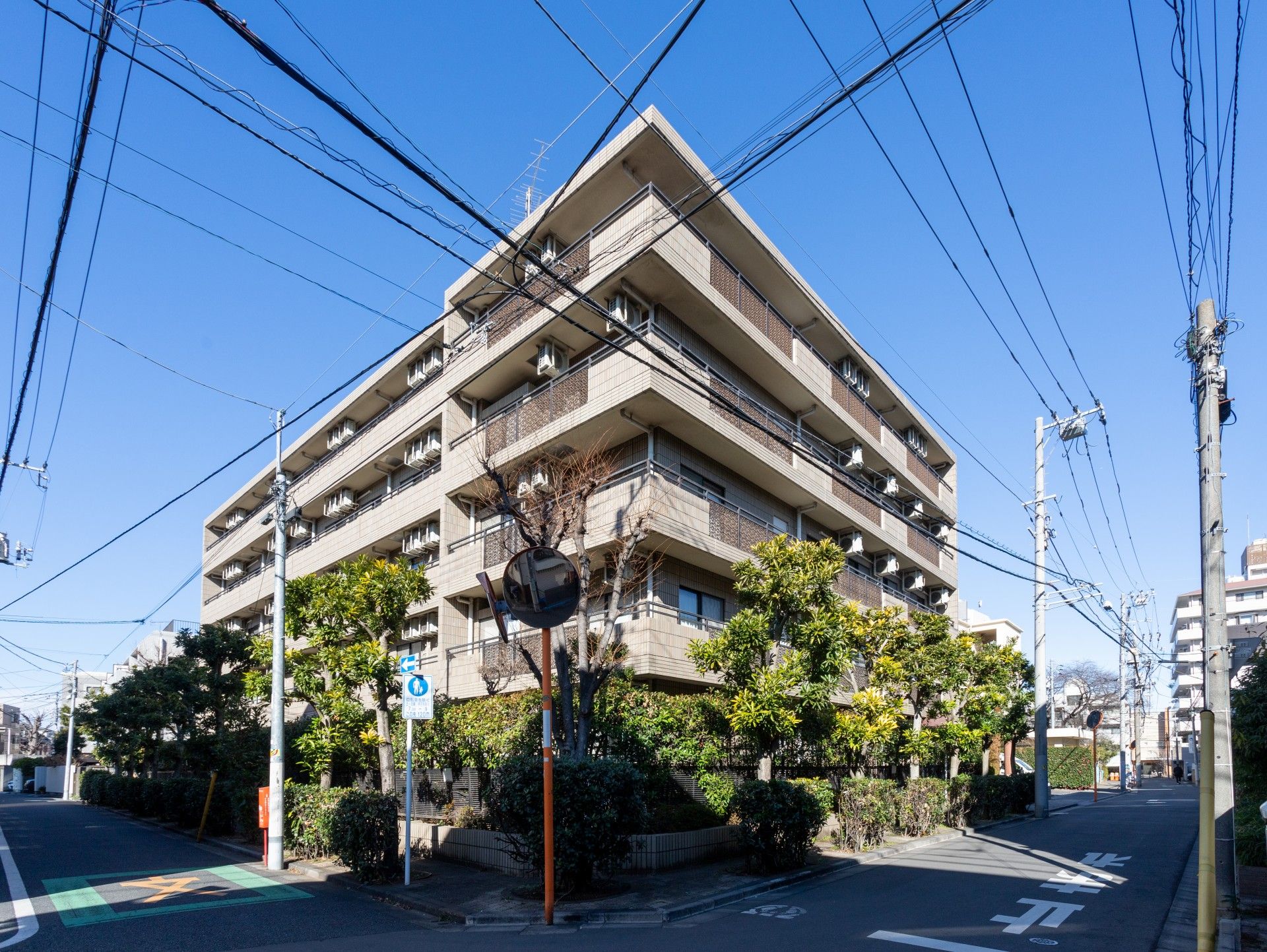 緑に囲まれた建物外観