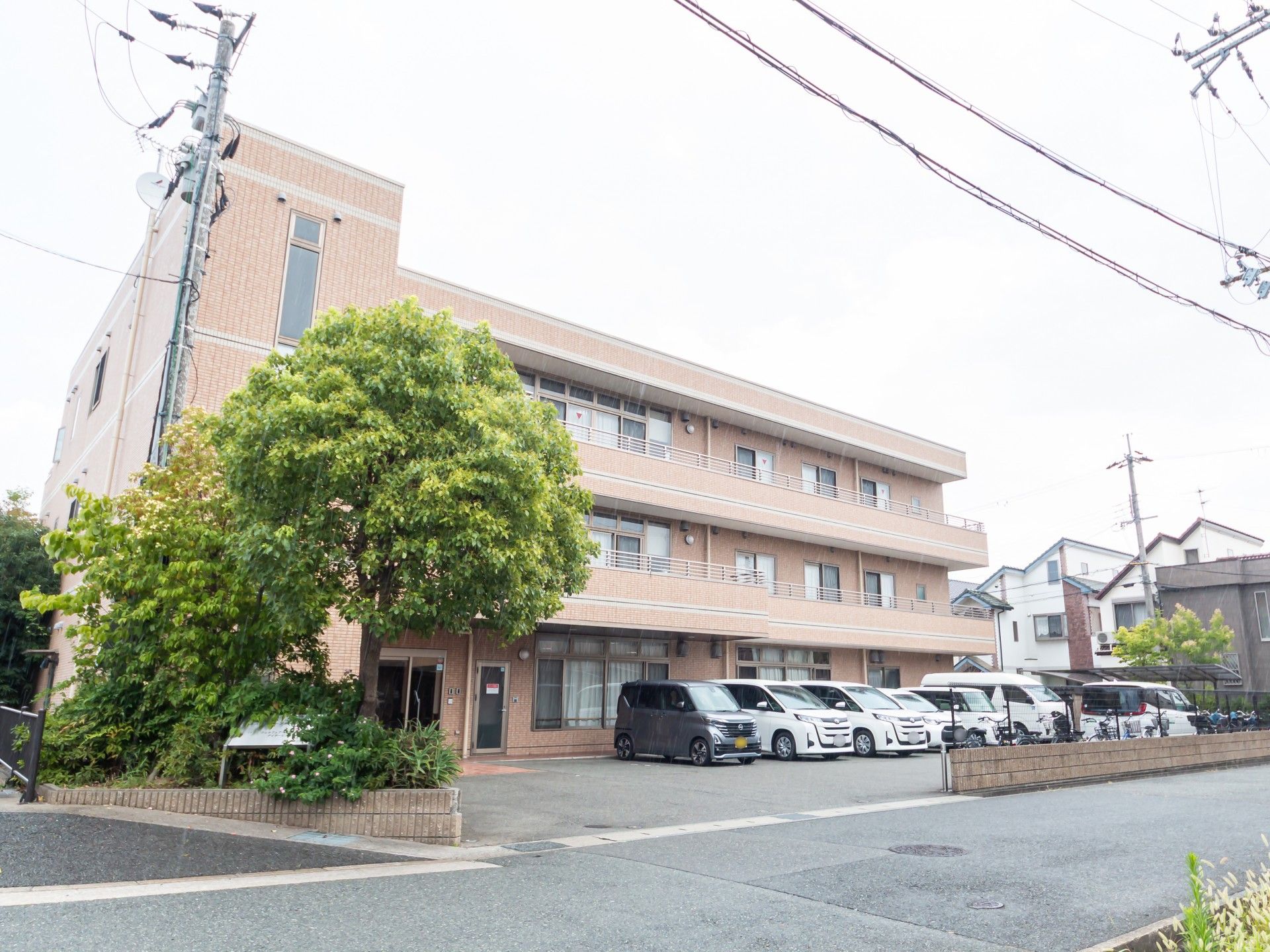 緑に囲まれた建物の外観