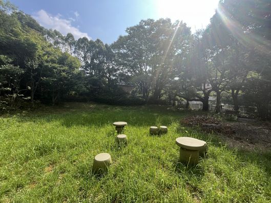 庭