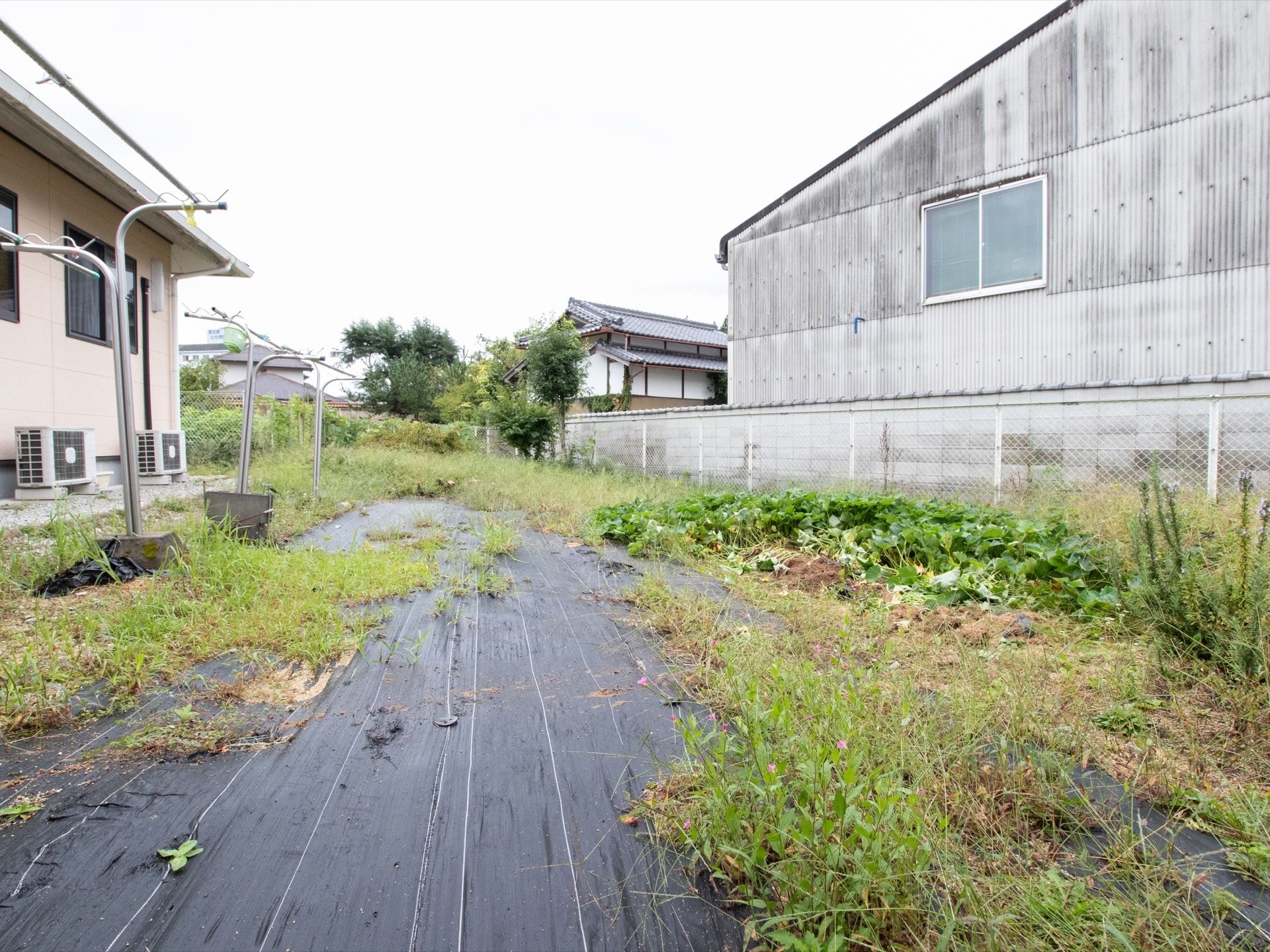 建物の裏側は、ゆったりとした広い敷地がある。建物の脇には、クーラーの外機がいくつか並んでおり、前には物干し台が数台設置されている。