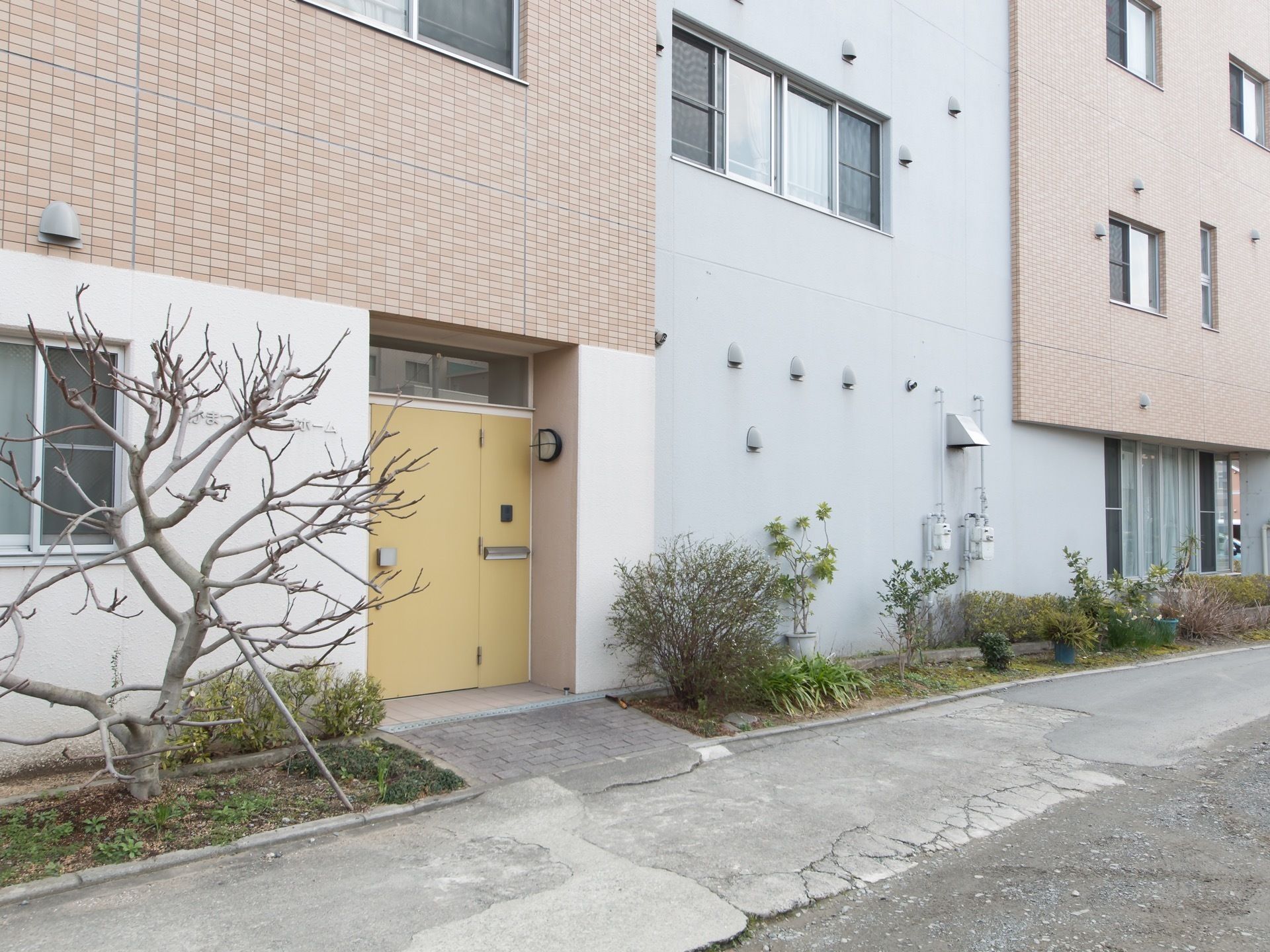 黄色い扉の玄関脇に、背の低い木や植物が複数植えられている。建物の壁には、たくさんの窓と換気口がある。