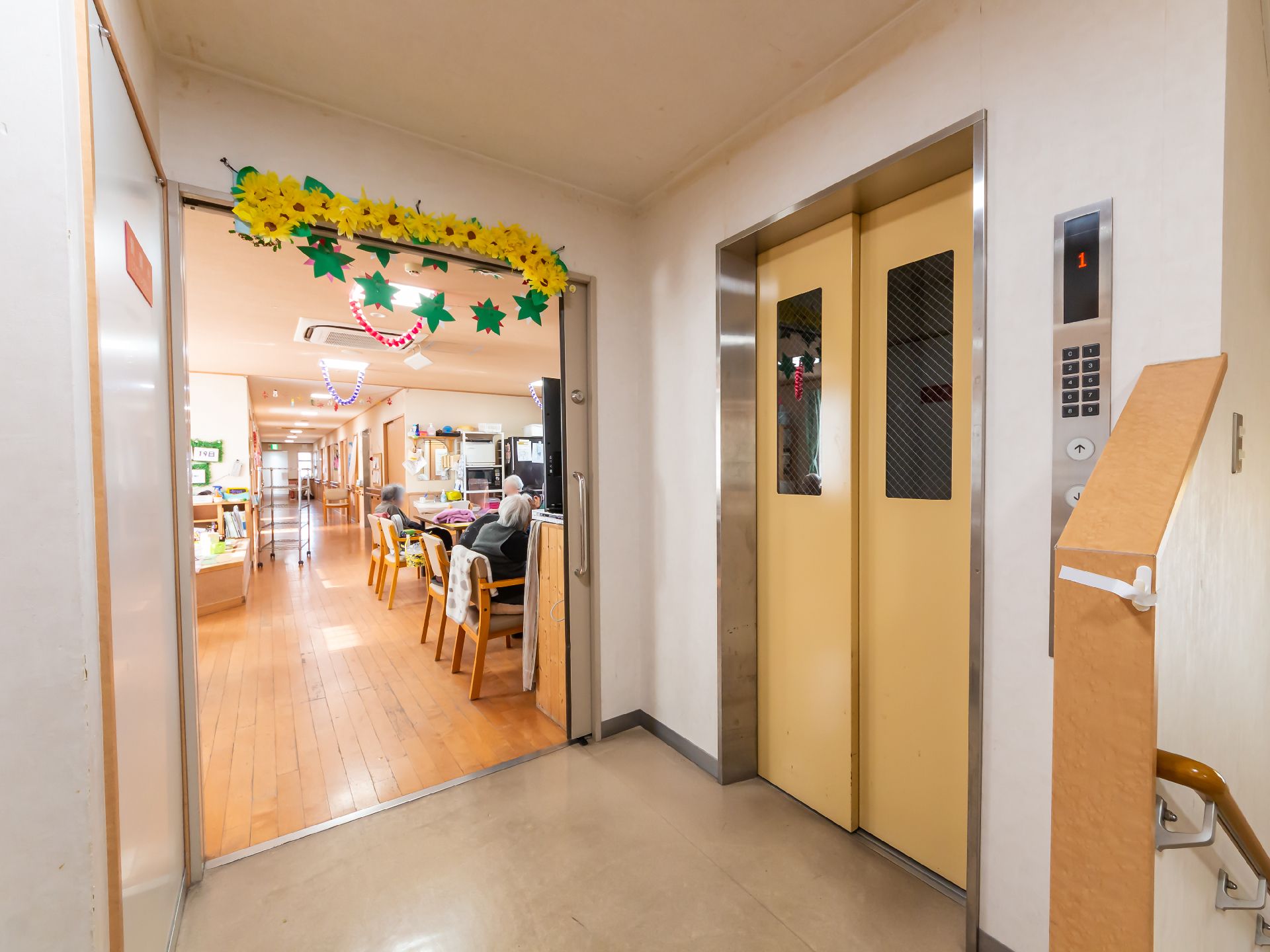 桜の木がたくさんある屋外で過ごしている複数名の入居者たち。きれいに花が咲き、天気もよい。