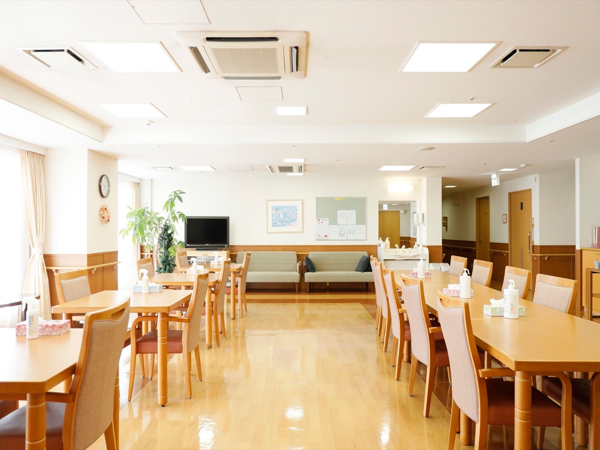 窓が大きく日差しがたっぷり差し込み、広く開放的な空間である。部屋の奥にソファが並んでいる。大きなテレビや観葉植物が置かれている。
