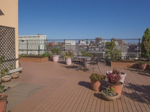 「ニチイホーム 海老名」の屋上テラスガーデン。緑を配置した癒しの空間。