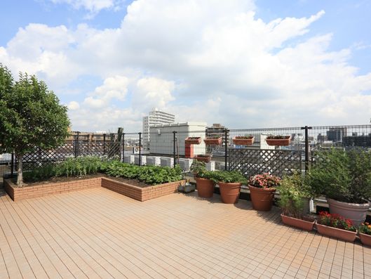 屋上庭園
