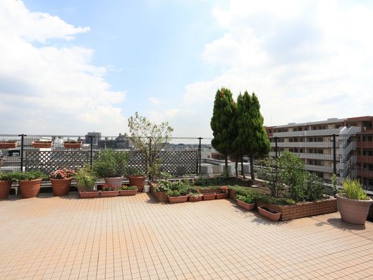 屋上庭園