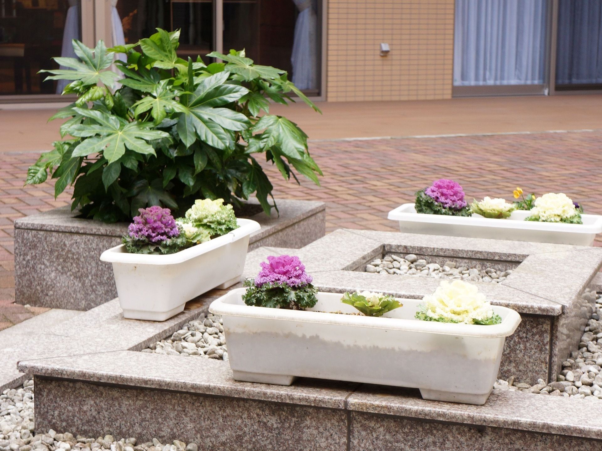 御影石で仕切られた花壇には植栽があり、プランターに色鮮やかな紫色と白色の植物が植えられ、見る人の目を楽しませる。