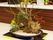 棚の上にトレイにのせて飾られた、さまざまな植物が植えられた盆栽の写真。きちんと手入れがされ、植物を楽しむことができる。