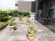 屋上庭園がある介護施設の外観