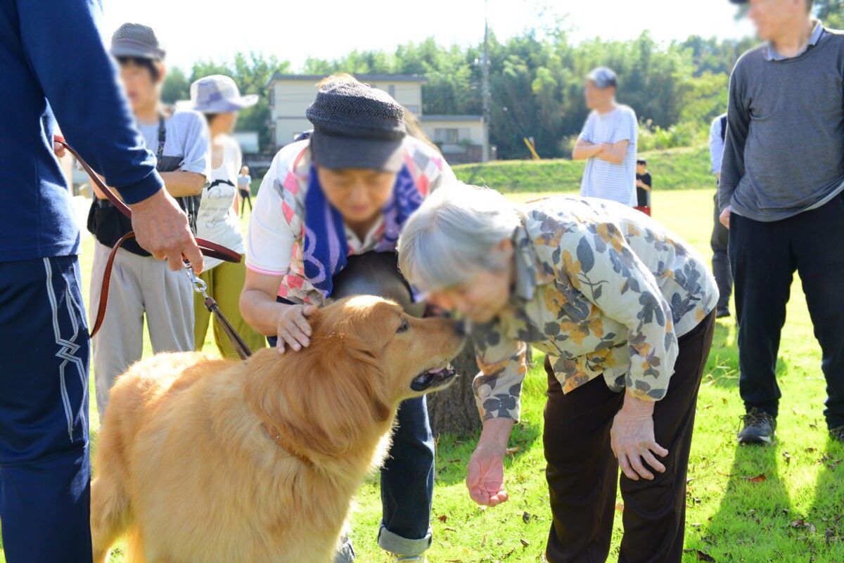 犬と触れ合う人々の様子