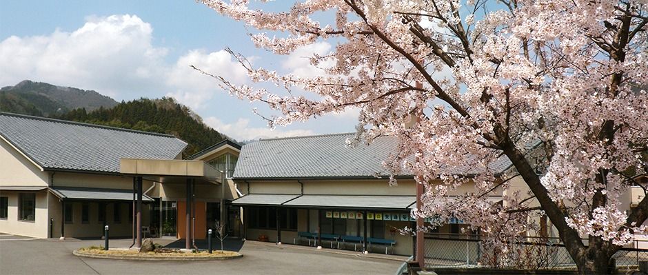 桜が咲く建物の外観