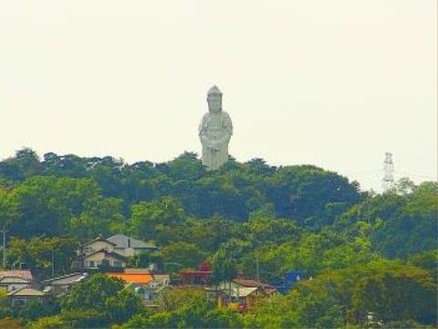 「ウッディタウン高崎南」の周辺環境。高崎白衣観音がある。