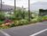駐車場の一角には非常に整備された美しい庭がある。よくある植え込みと比べて明らかに手入れのレベルが違うのが分かる。