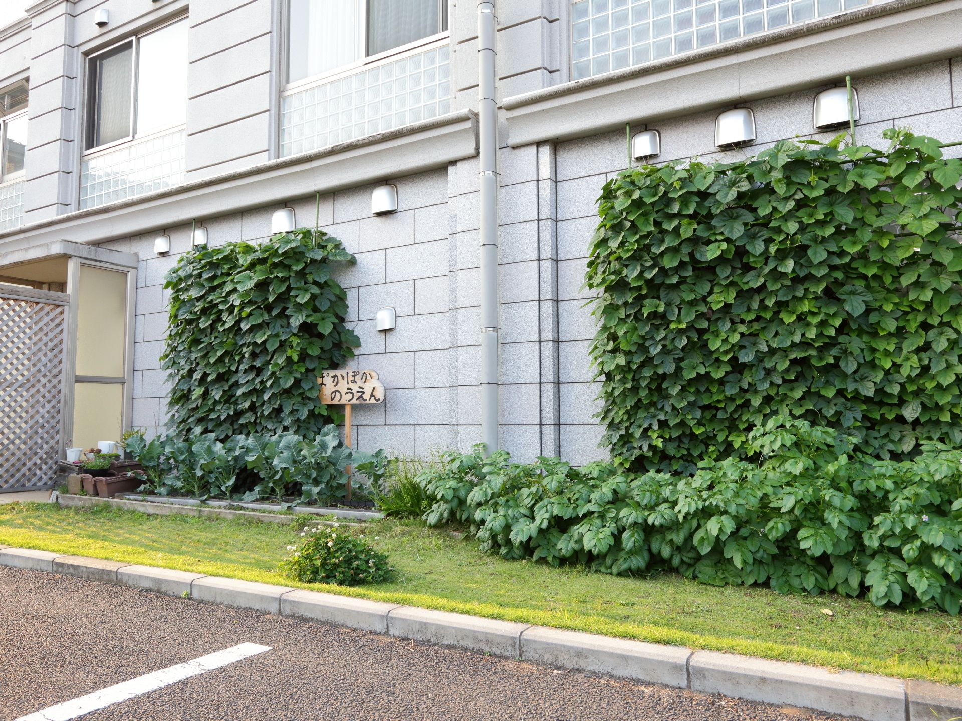 モダンなタイル調の外壁。壁際には、農園が施され、その前方には芝生が敷いてある。グレーの外壁に緑豊かな外観である。
