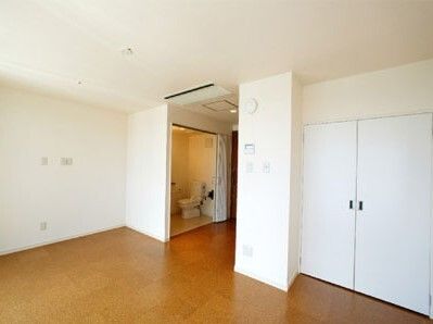 アコーディオンカーテンが付いた広いトイレと大型の収納スペースが付いているフローリングの部屋。