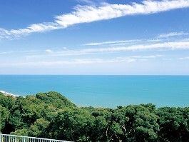 青い空の下には緑がかった海が広がり、目の前には木が茂った小さな森のような場所があり、自然が豊か。