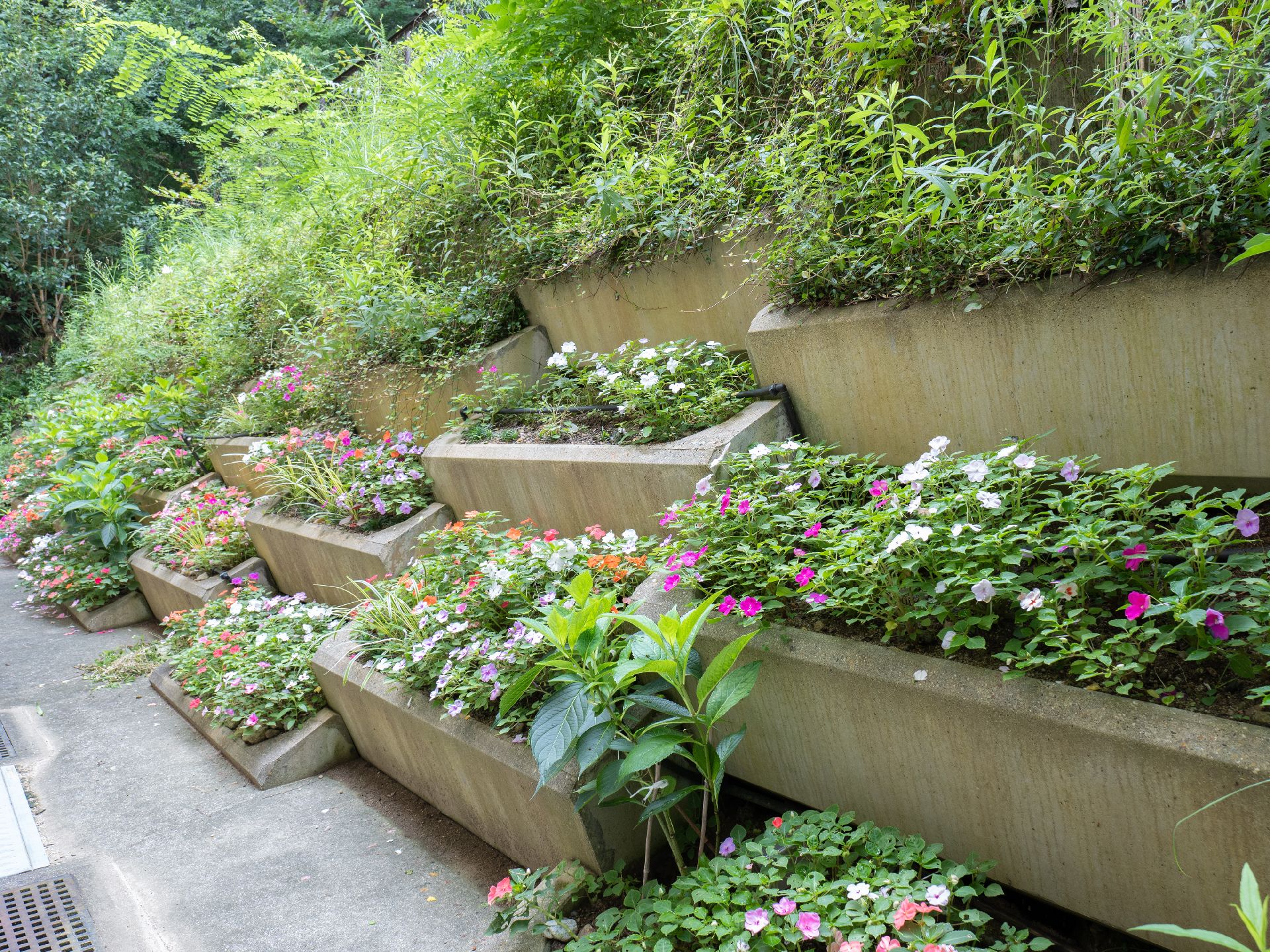 敷地内にある、植物や木が植えられている中庭
