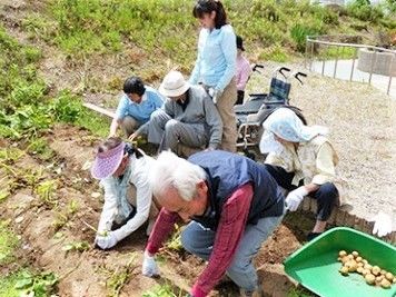 敷地内にある畑で入居者とスタッフがジャガイモ掘りを楽しんでいる様子。