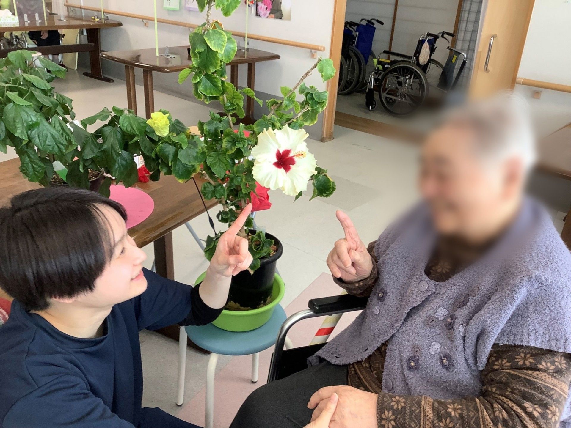 植物を囲む交流の場