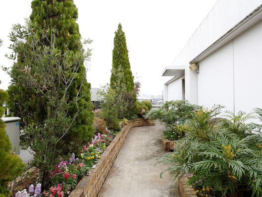 屋上庭園