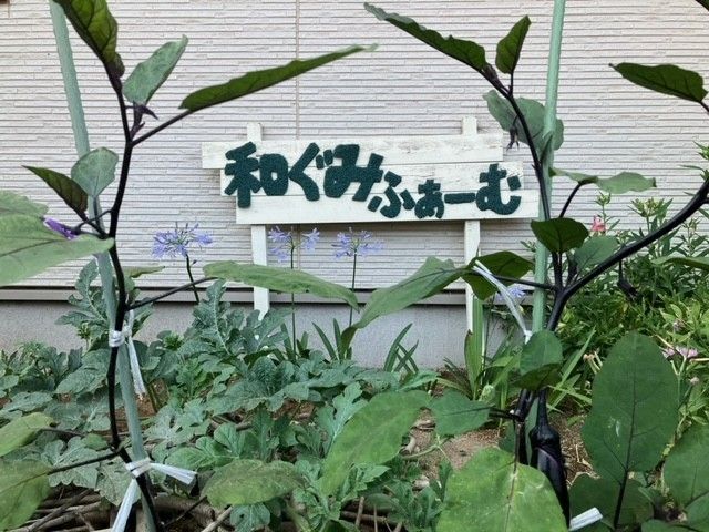 緑豊かな中庭風景