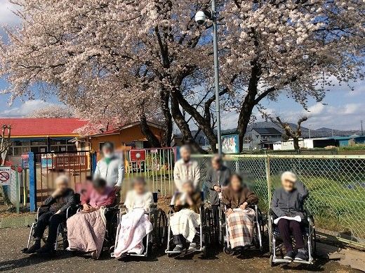 桜の下でくつろぐ皆さん