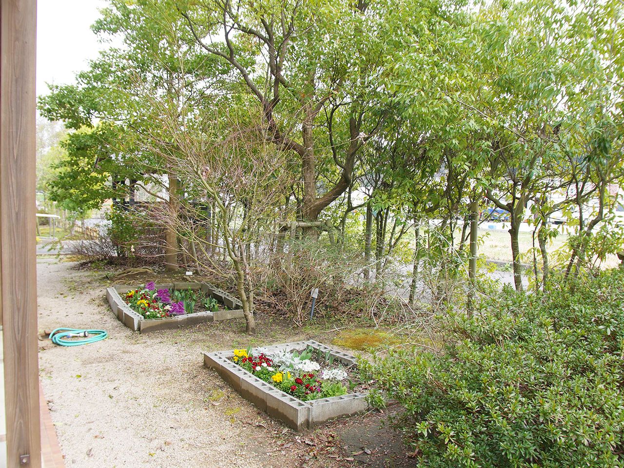 緑豊かな庭園風景