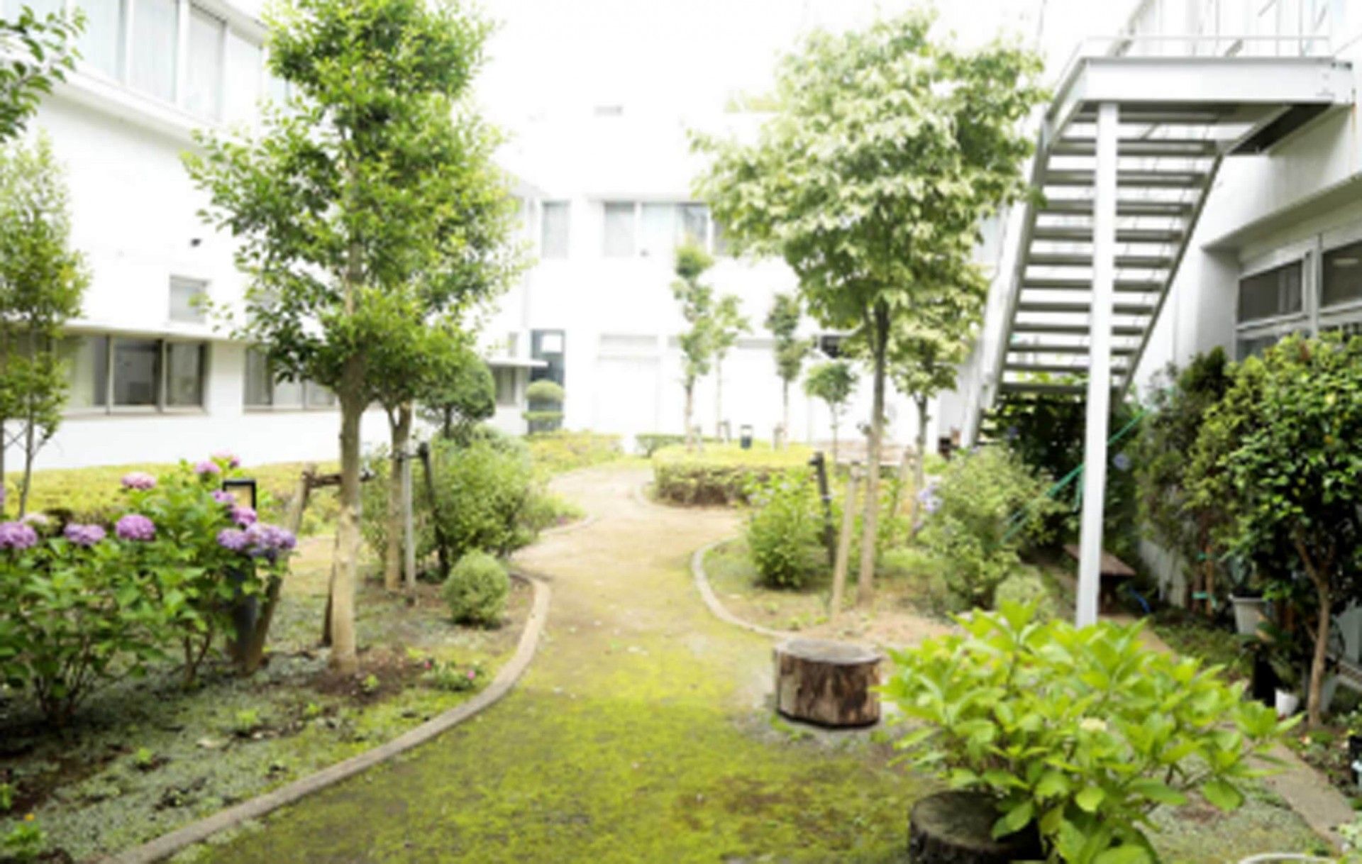 緑豊かな共用庭園