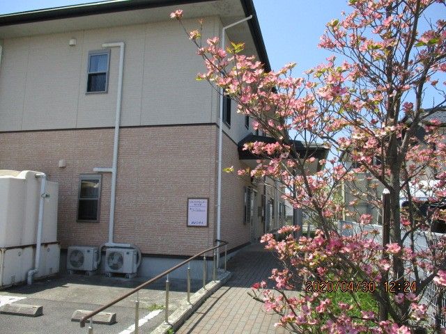 春の花が咲く施設外観