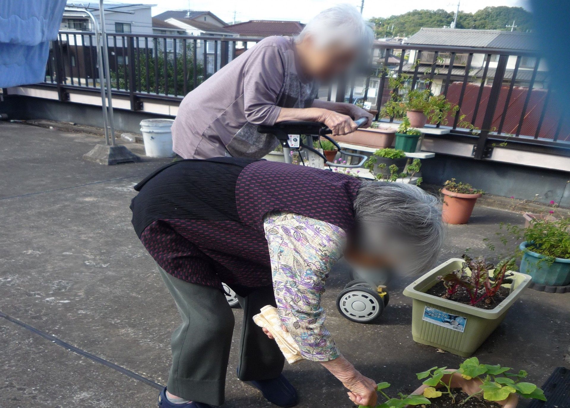屋上での園芸活動