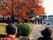 紅葉がきれいな通りを手をつないで散歩する二人の入居者の後ろ姿。