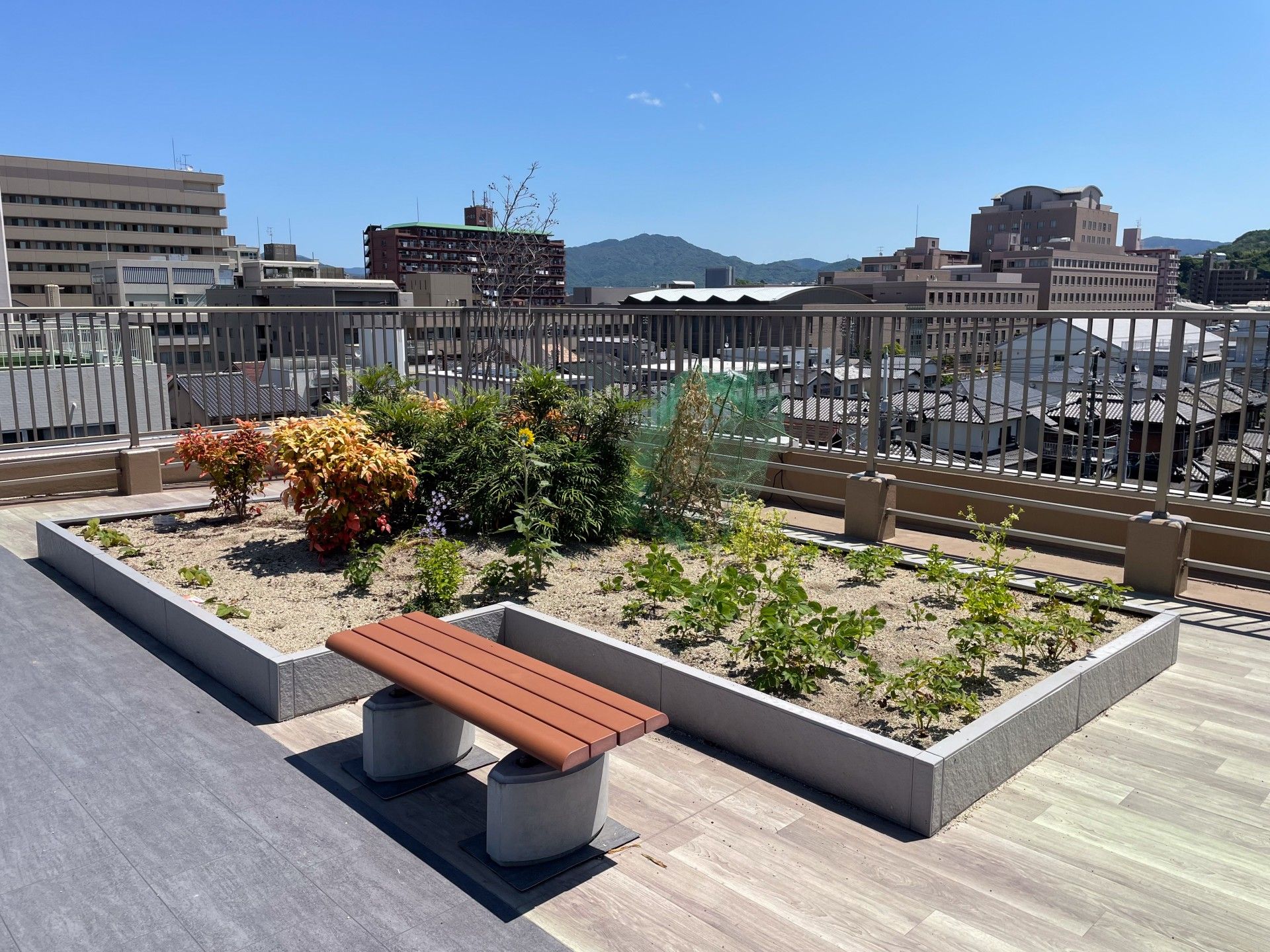屋上庭園のベンチ