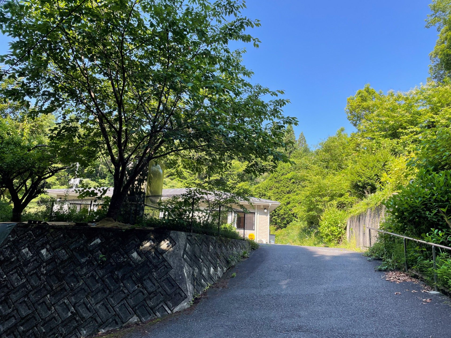 緑豊かな散歩道