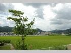 窓から見える景色